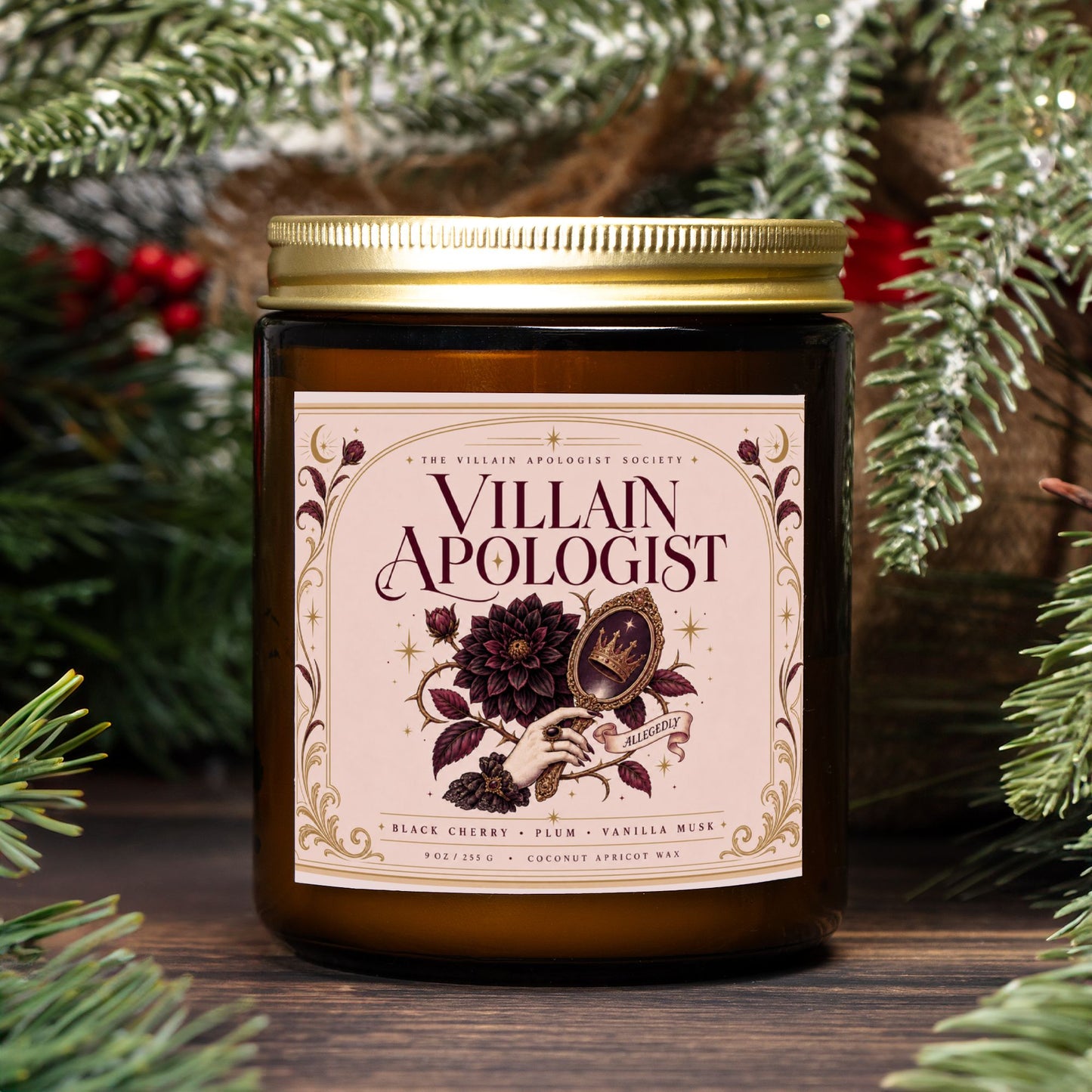 Romantasy Candle for Book Lover, Villain Apologist,  Black Cherry Plum Vanilla Musk  Scented Candle