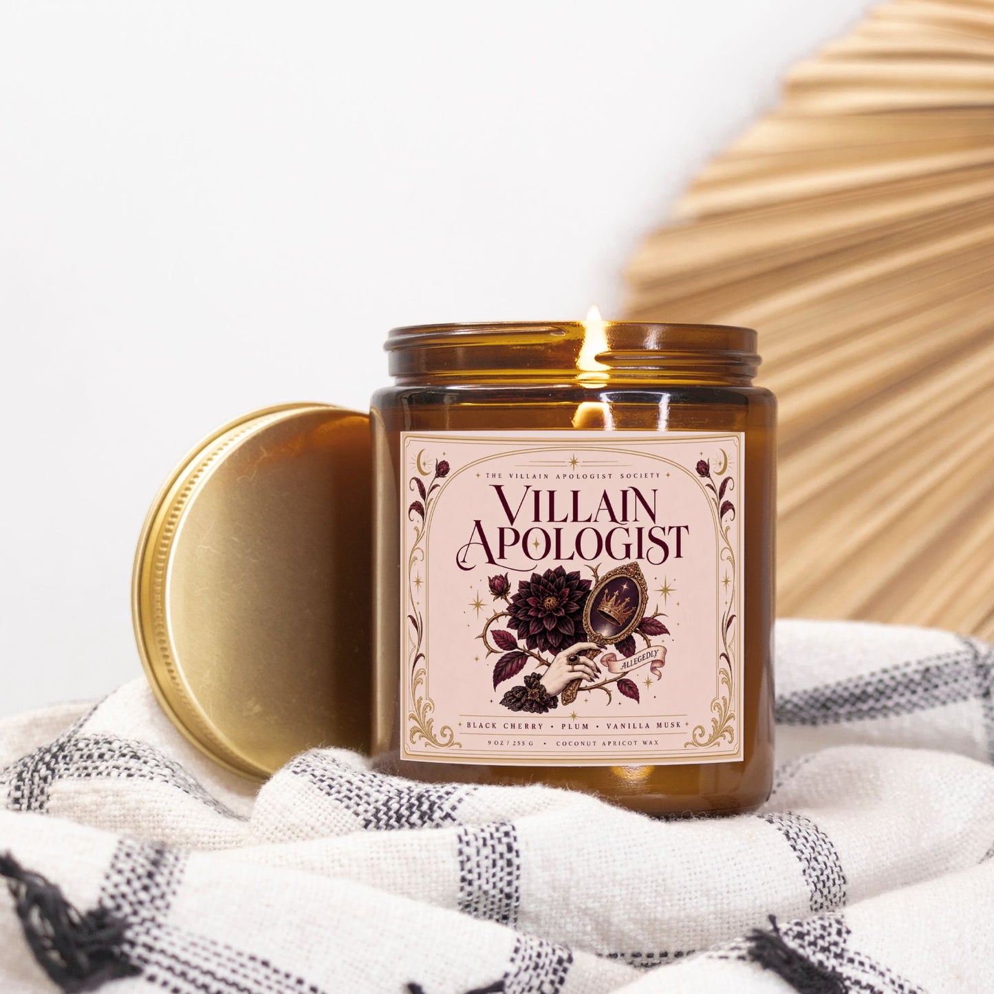 Romantasy Candle for Book Lover, Villain Apologist,  Black Cherry Plum Vanilla Musk  Scented Candle