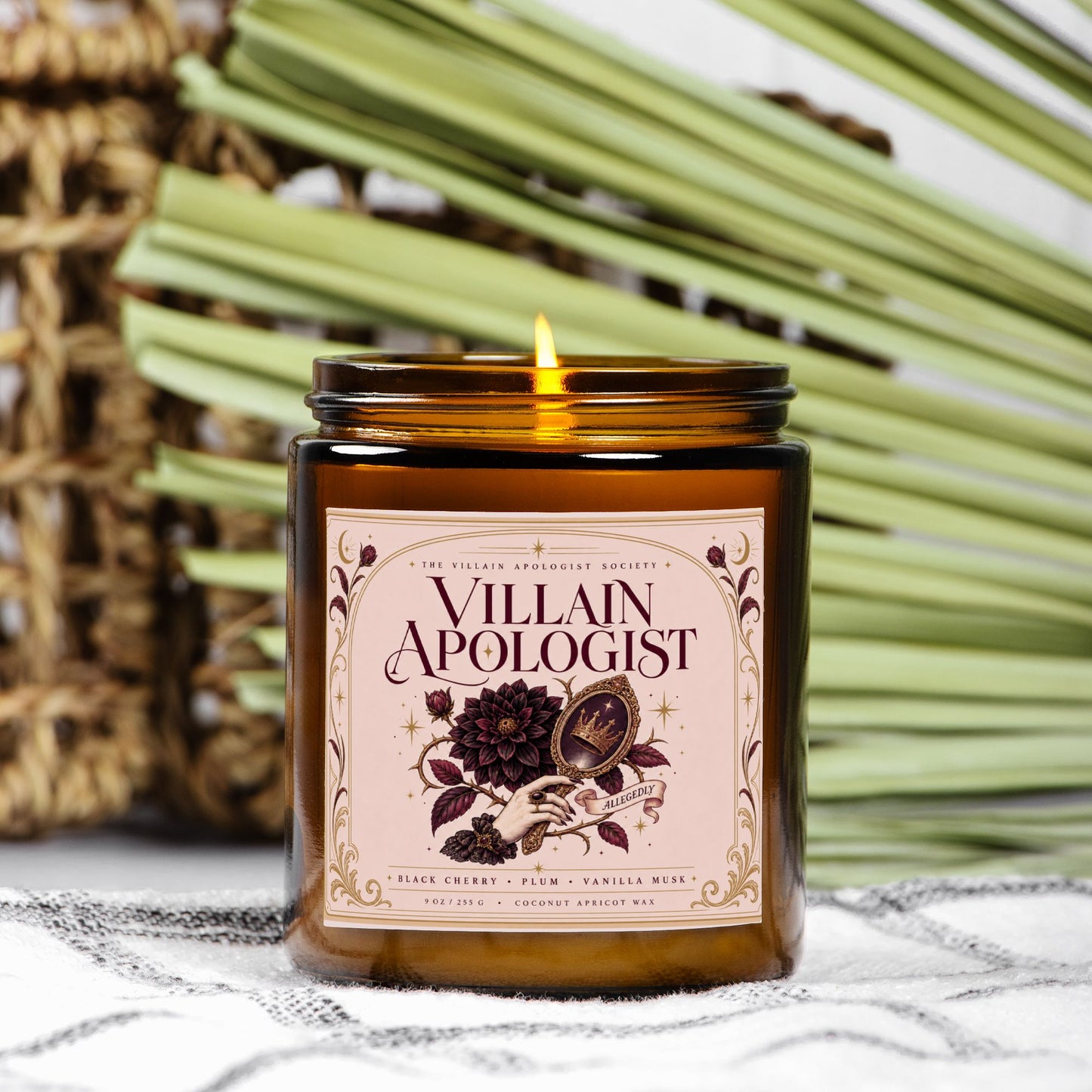 Romantasy Candle for Book Lover, Villain Apologist,  Black Cherry Plum Vanilla Musk  Scented Candle
