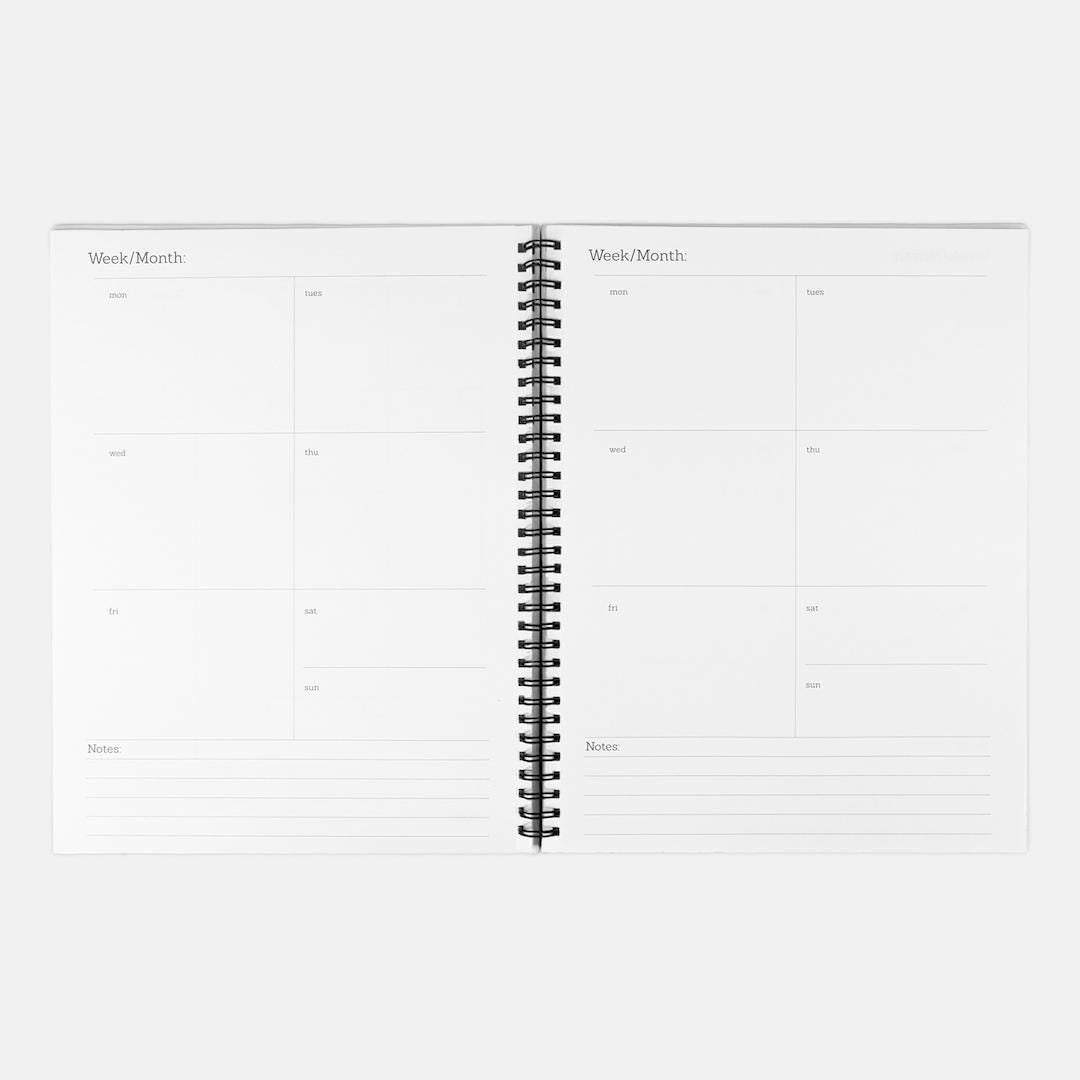 The Dragon's Daily Adventure 2025 Planner - Toothless, How to Train Your Dragon Inspired Hardcover Daily Planner, Spiral 8.5 x 11