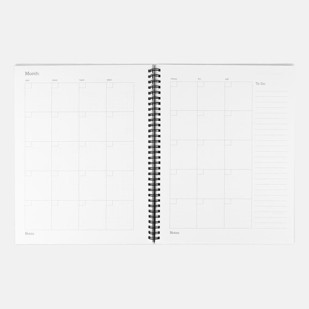 The Dragon's Daily Adventure 2025 Planner - Toothless, How to Train Your Dragon Inspired Hardcover Daily Planner, Spiral 8.5 x 11